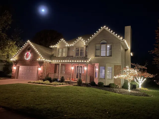 Warm roofline lights and wrapped trees beneath a moonlit sky