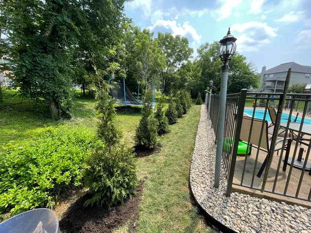 Evergreen border beside a fenced pool area